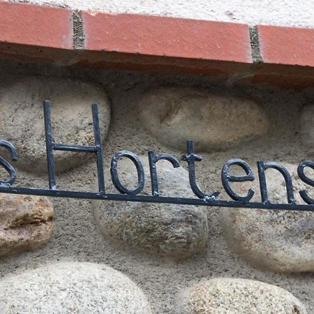 Les Hortensias Millas Extérieur photo